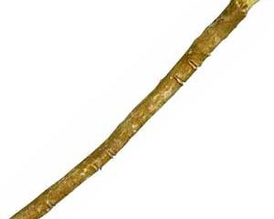 The Forgotten Twig