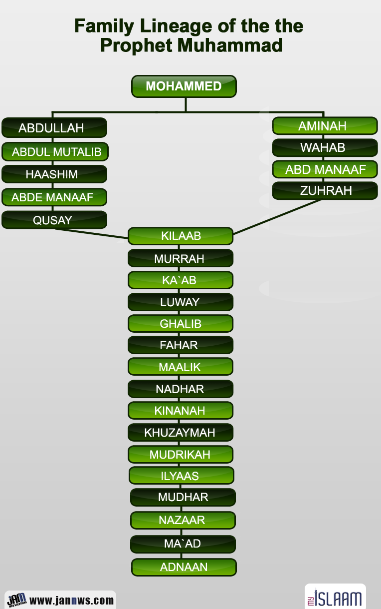Image result for family tree of prophet muhammad"
