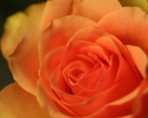 Q&A: What is the Dua for stuttering?