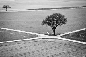 When two scholars differ in an opinion, which one should one follow?