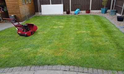 Can a women who is in ‘iddah go in the garden?