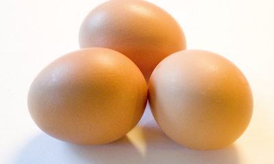 Is it permissible to eat eggs found in dead chickens?
