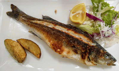 Etiquettes of eating and drinking (Part 2)